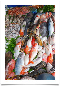 2-Morocco Fish - Denis McAllister